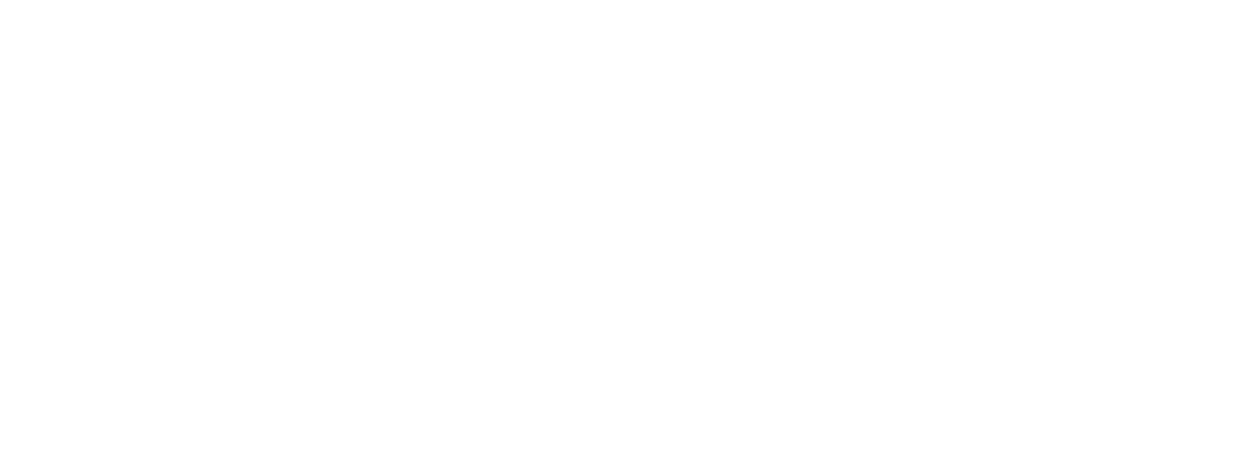 IBM Business Partner